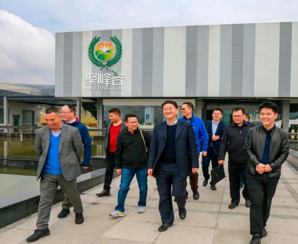 集团党委书记、董事长任丁率队调研聚峰谷