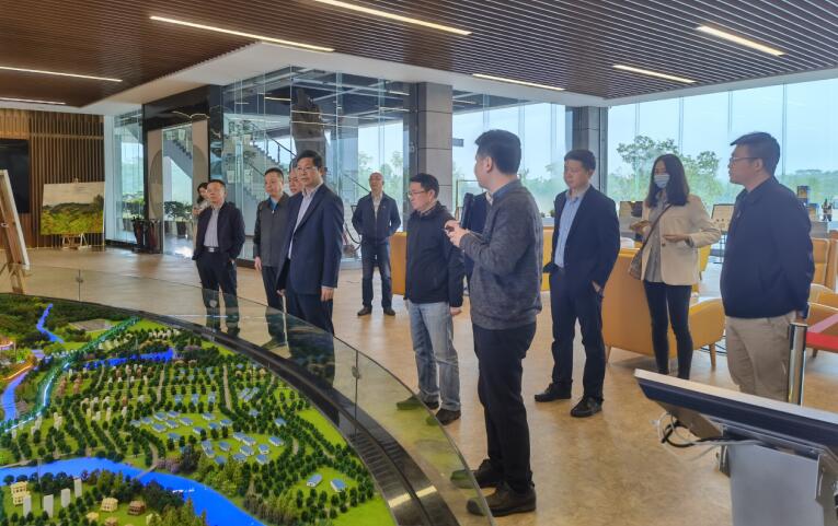 广西旅发集团党委书记、董事长容贤标考察集团文旅项目