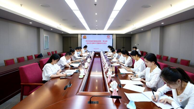 尊龙凯时集团党委书记、董事长任丁参加总部第一党支部党史学习教育专题组织生活会