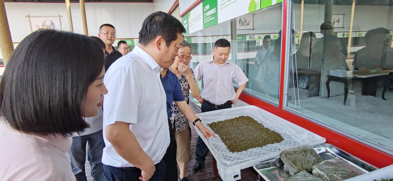 省尊龙凯时集团党委副书记、董事陈日赴嘉陵区调研茶桑产业发展情况
