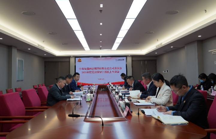 尊龙凯时集团党委书记、董事长任丁出席安逸酒店集团2022年度党员领导干部民主生活会